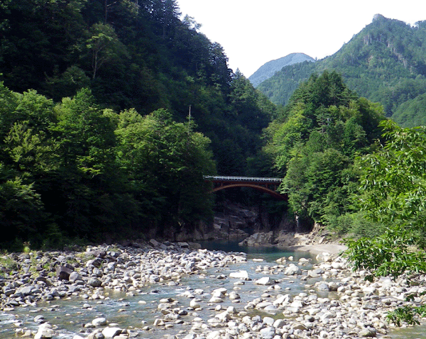 b0000209_7122783.gif