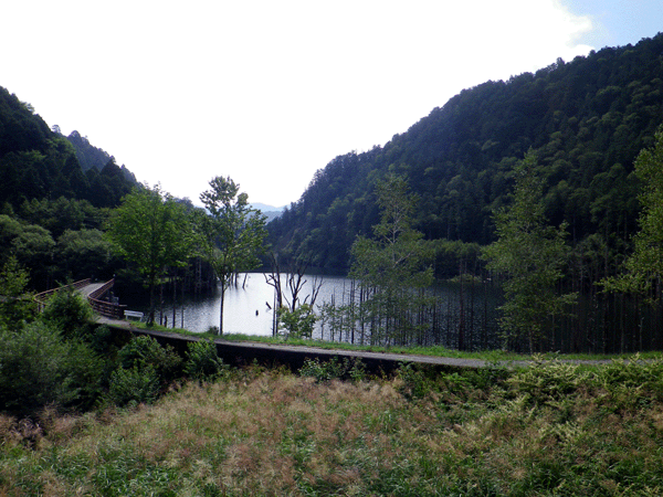 b0000209_73317100.gif