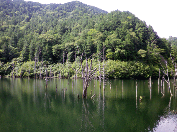 b0000209_7334651.gif