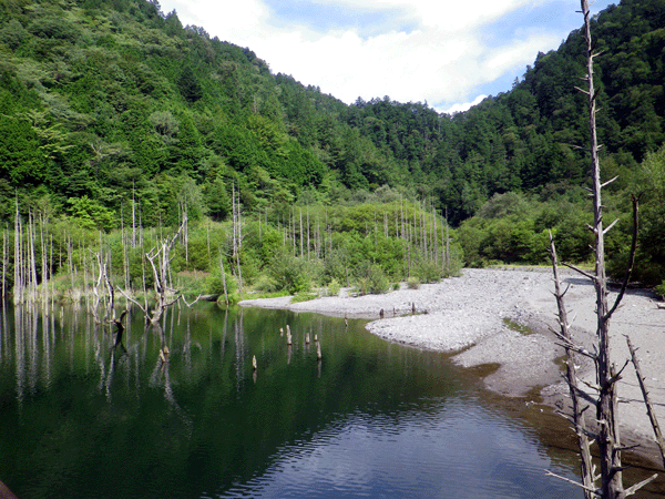 b0000209_7335971.gif