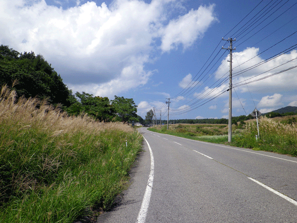 b0000209_7552012.gif
