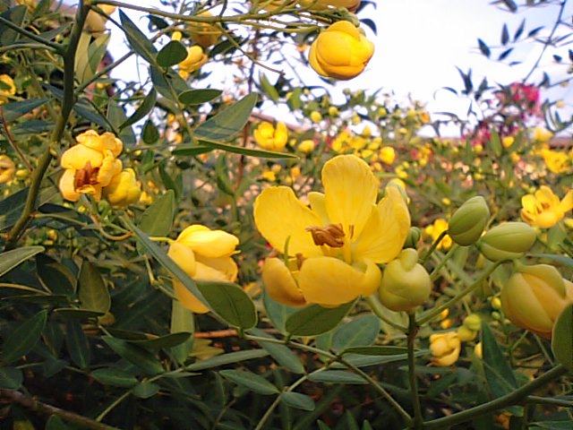 f0231709_23441327.jpg