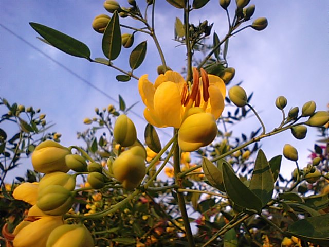 f0231709_23452259.jpg