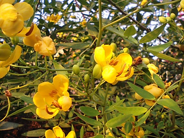 f0231709_2346547.jpg