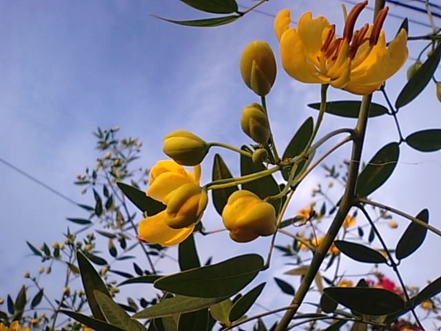 f0231709_23465676.jpg