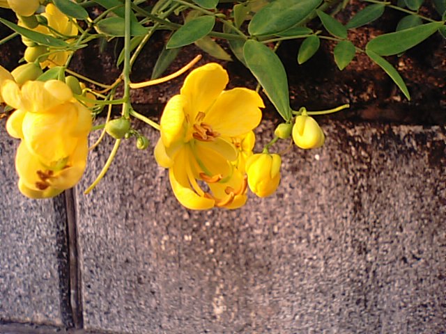 f0231709_2347333.jpg