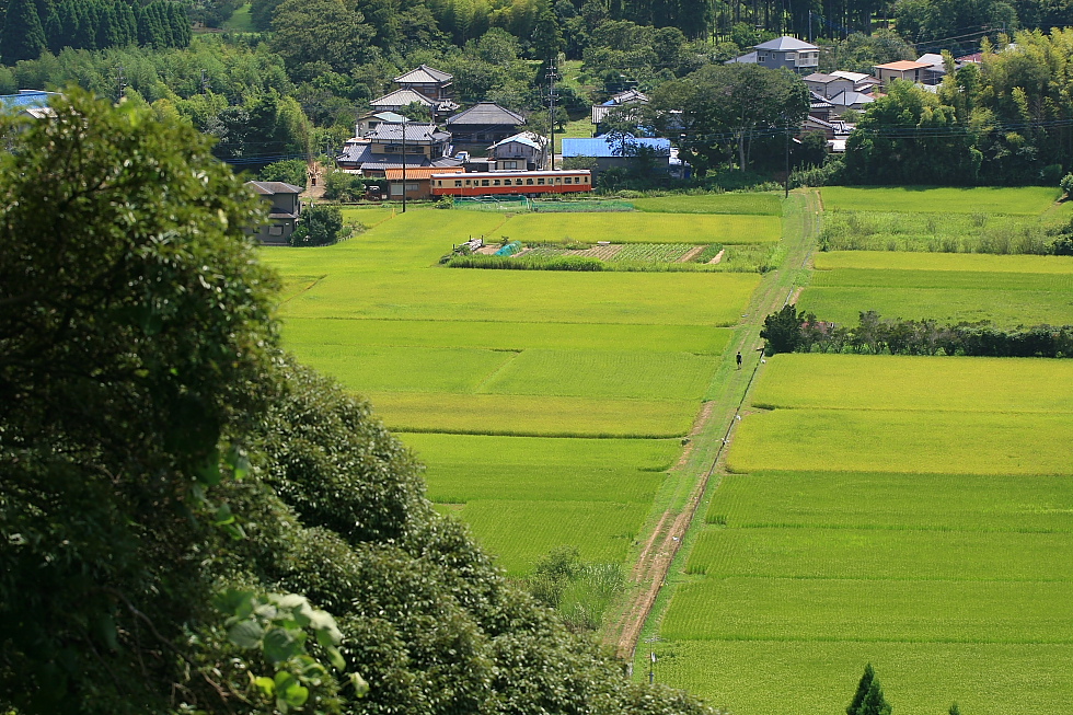 単行 - 2012年盛夏・いすみ - _b0190710_2148419.jpg
