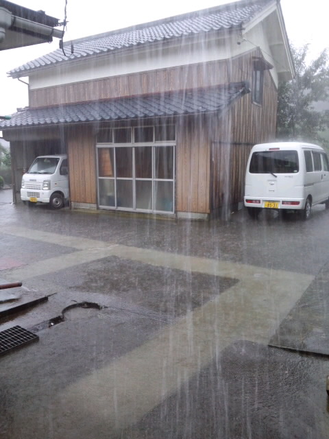 豊水、ひとコンテナ収穫したら、豪雨(T_T)。慌てて帰ってきた。_d0150312_7264212.jpg