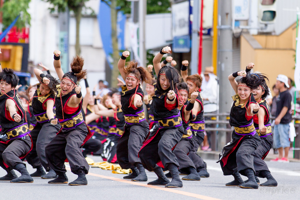 第14回　にっぽんど真ん中祭り　「凰」_a0249716_23332542.jpg