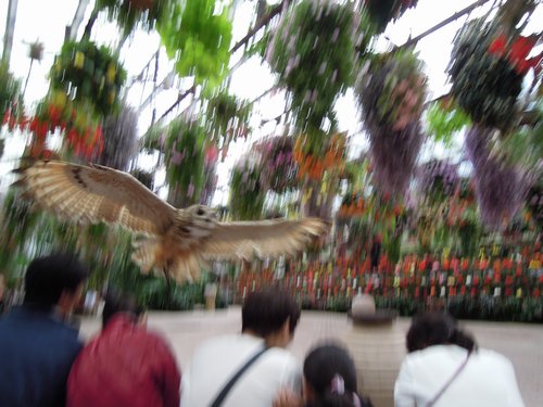 e0166016_13101445.jpg