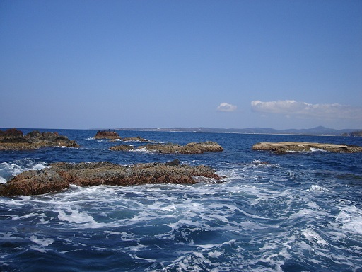 f0000521_117145.jpg