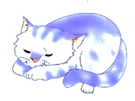 老育 猫にまつわるお話_c0155326_9472842.jpg