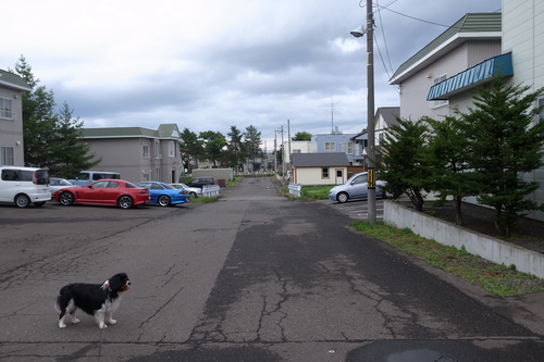 ヨドバシ・ネットに感激。_c0051132_2126370.jpg