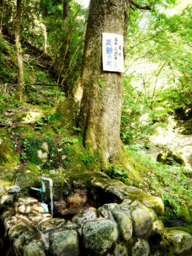 寂地峡キャンプ Home 寂地峡キャンプ Home