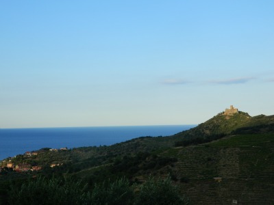 Collioure・コリウール　海編◆　by　ロン@フランス_d0227344_4455671.jpg