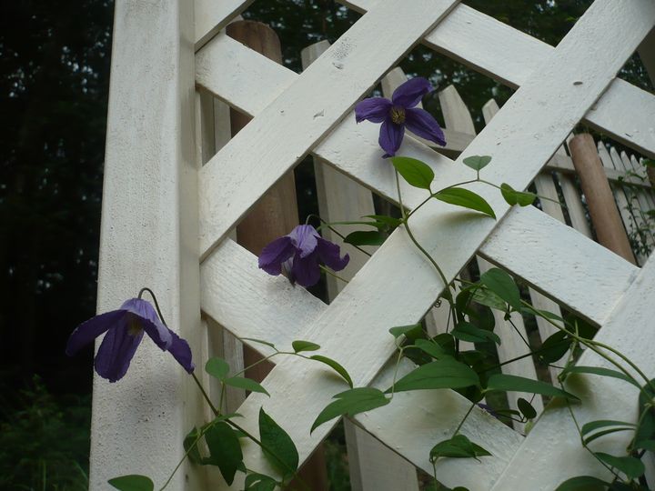 f0090444_21371540.jpg