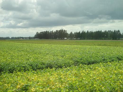 e0181047_9421278.jpg