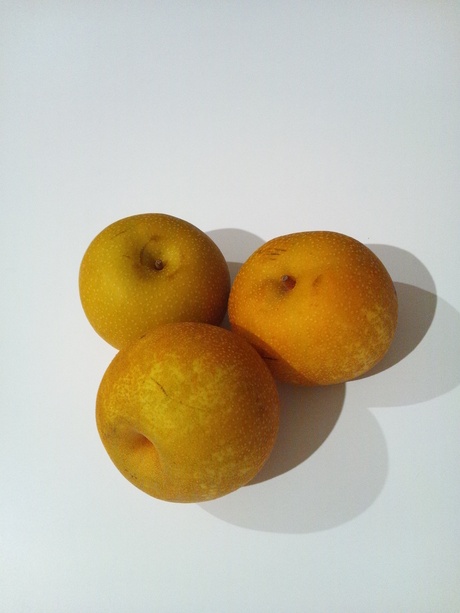 f0207451_20122660.jpg