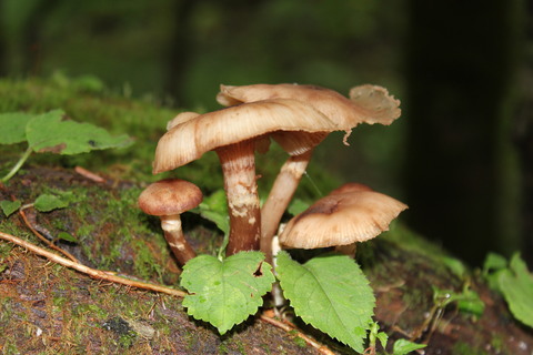 a0248459_1718996.jpg
