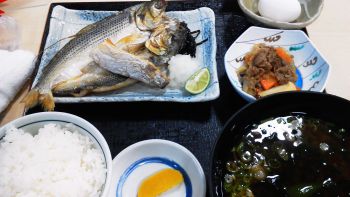 やはり鳴門で根魚釣りが堅い_a0007462_14242951.jpg