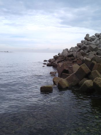 やはり鳴門で根魚釣りが堅い_a0007462_14315379.jpg