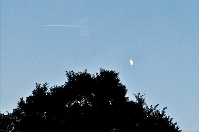 e0125762_7574210.jpg