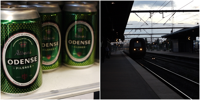 ちょっと足を伸ばして日帰り旅\"ODENSE\"オーデンセを歩こう♪_b0214764_2159735.jpg