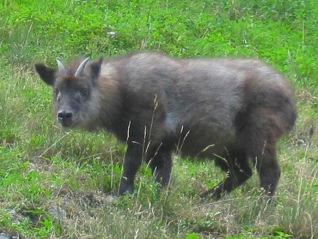 2012.9.3～5　甲斐駒ヶ岳＆仙丈ヶ岳_c0219866_1511213.jpg