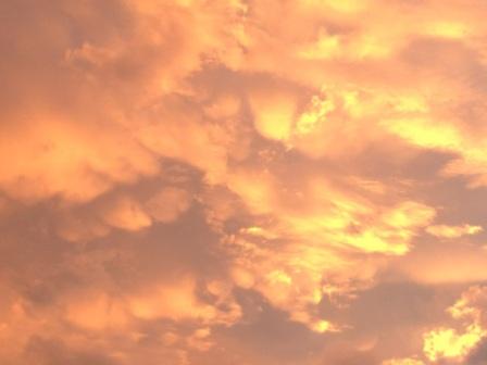 b0134673_21171665.jpg