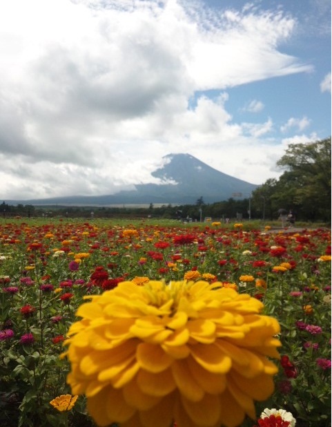 花の都公園_f0110488_0183888.jpg