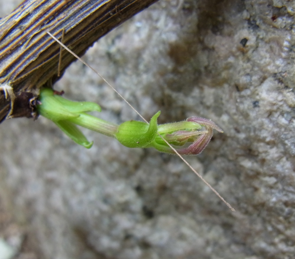 c0167798_8241451.jpg