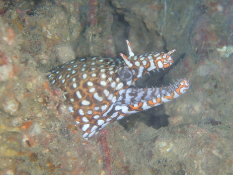 e0115199_1331386.jpg