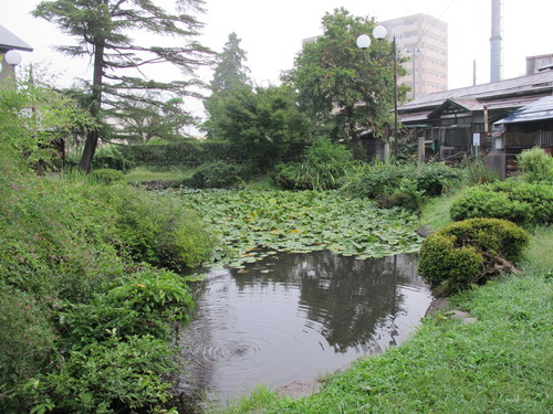 晩秋の佐氏泉公園の朝（５）_c0075701_7104136.jpg