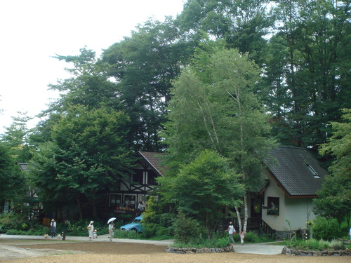 f0198201_1418251.jpg