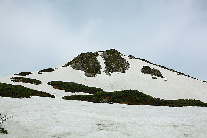 a0148606_0512896.jpg
