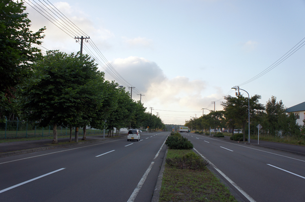 広々街路樹_f0160407_5103726.jpg