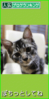 c0175114_18471562.gif
