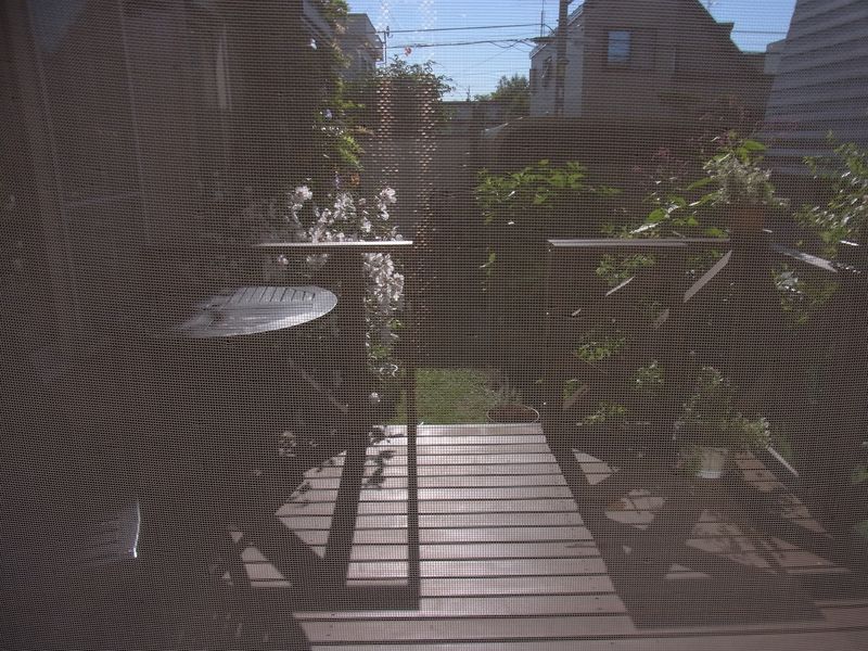 3週間ぶりの20℃切り_c0025115_18325075.jpg