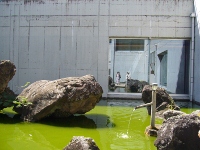 c0203121_85388.jpg