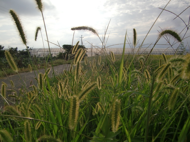 e0234924_9221359.jpg