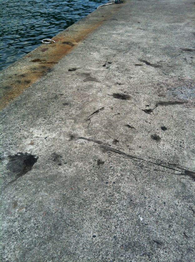 e0184826_22353985.jpg