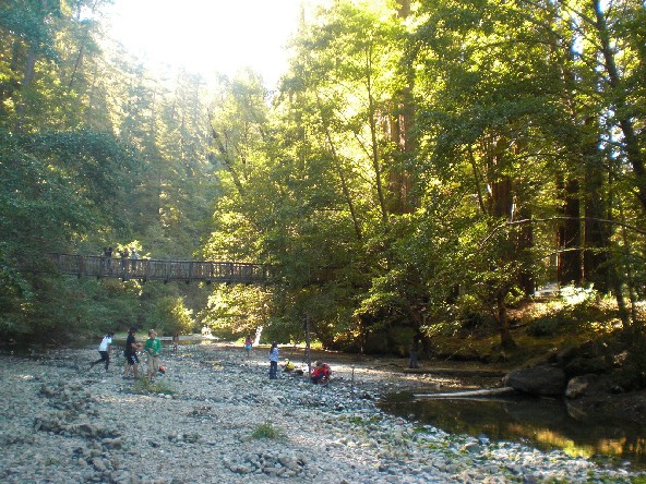 d0253133_1339026.jpg