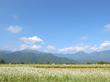 午前9時の空_a0014840_22322164.jpg