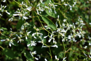 b0200240_10555471.jpg