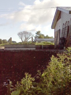 c0218940_162551.jpg