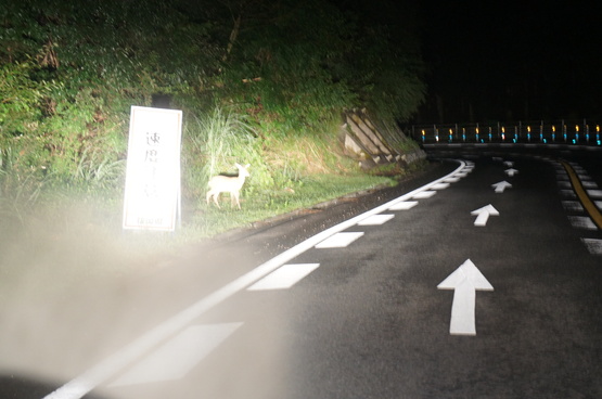 b0242248_13144190.jpg