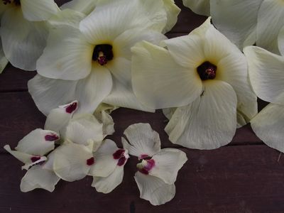 c0063348_6415020.jpg