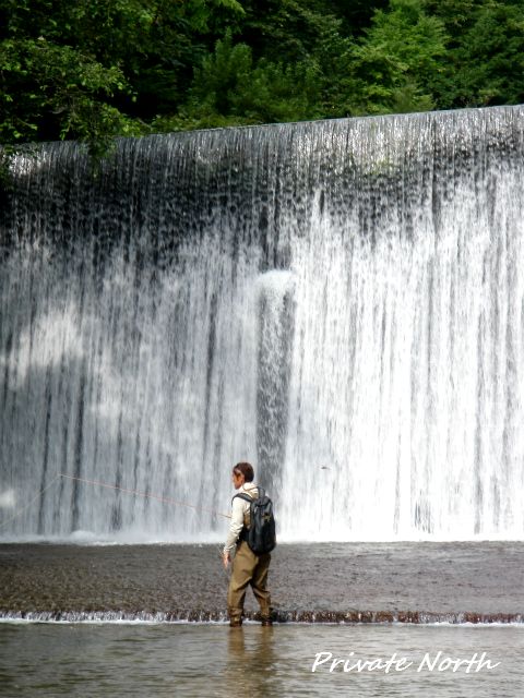 d0261148_158142.jpg