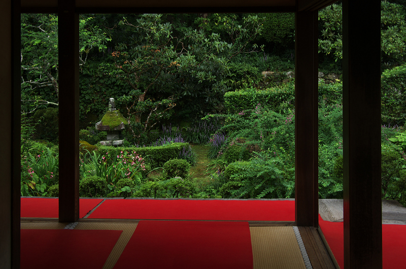 秋海棠咲く（大原・三千院）前編_f0155048_20165080.jpg