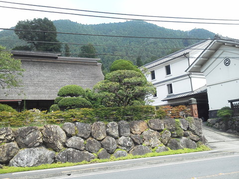 夏の終わりの青梅、そして国分寺［義蕎］_b0050651_1342962.jpg